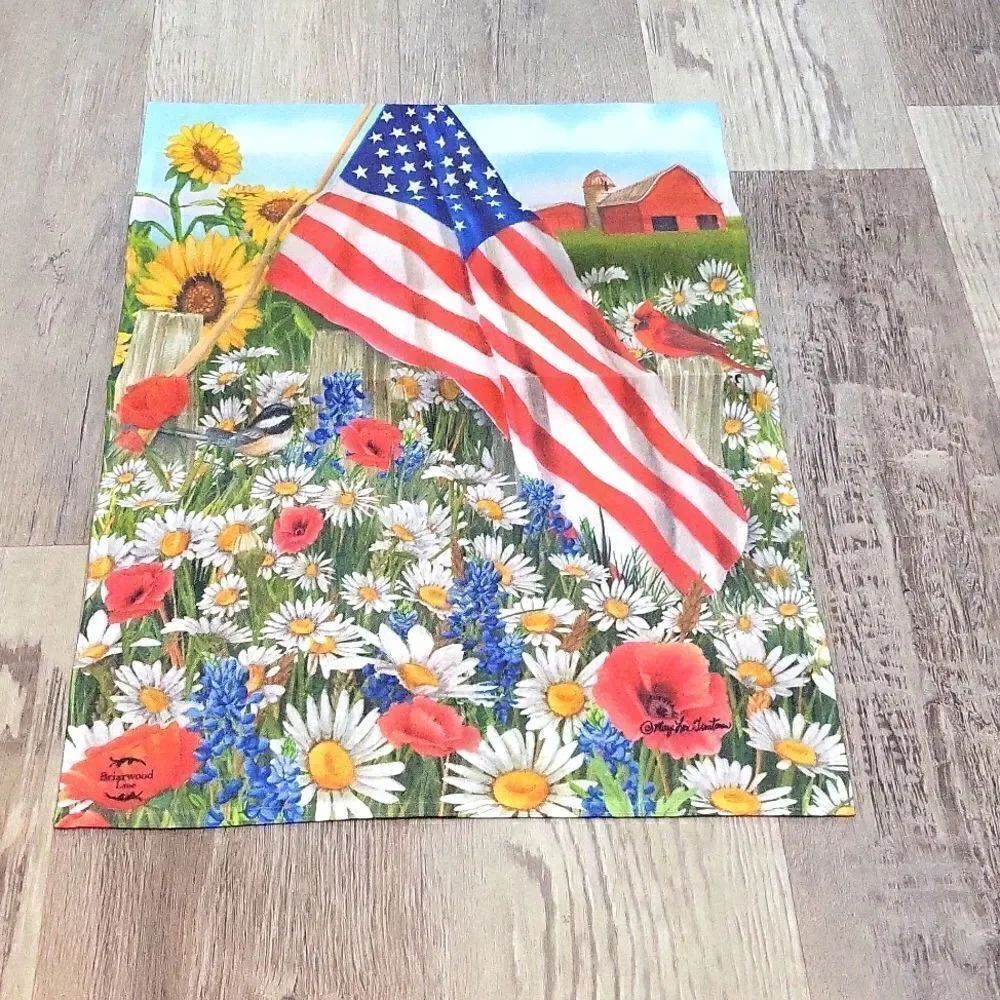 Memorial Day or July 4th Flag